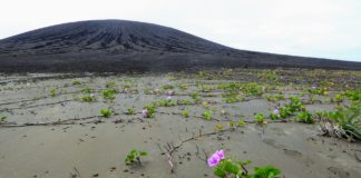 Tonga’s volcanic island shows signs of life as mysteries of mud and Mars intrigue scientists