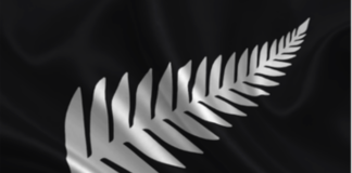 Tribunal rules staying in New Zealand would be in best interests of woman and her children