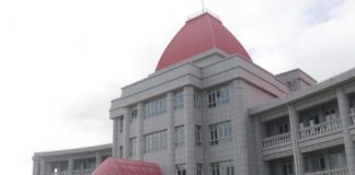 Supreme Court rules injunction against Ministry of Foreign affairs CEO will stand