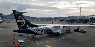 Air NZ investigates why plane hit runway light