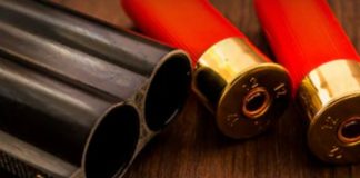 Suspended sentence for fire arms offence after lawyers for both side argue for leniency