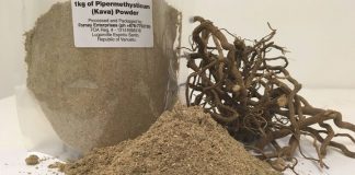 Australia urged to ‘step up’ kava allowance for travellers
