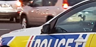 Police appeal for witnesses after stolen car spree in Auckland