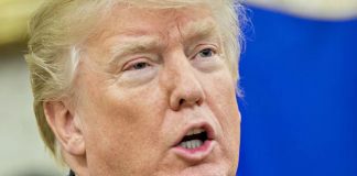 Trump says U.S. agency will begin removing millions of illegal immigrants