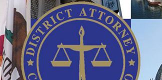 Tongan caretaker allegedly steals over $100,000 from widow in US