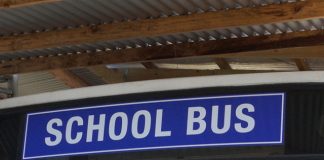 Tongatapu bus driver pleads guilty to sodomy and awaits sentencing