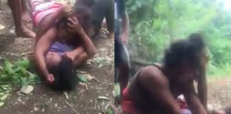 Video: Foul-mouthed female brawlers in brutal bush allotment brawl caught on video