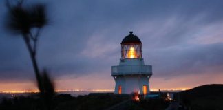 One dead, two injured after boat capsizes in Auckland’s Manukau Harbour