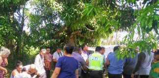 Auckland man killed in Tonga car crash, wife remains in hospital