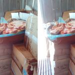 Chicken destroyed in Vava’u
