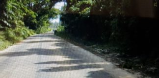 Boy, 16, who groped Tongatapu jogger receives suspended sentence