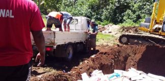 Vava‘u authorities destroy boxes of rotting chicken