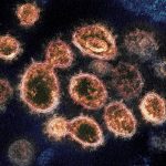 eight_col_067_355331