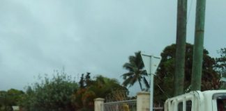 Expired bags of flour seized in Neiafu after complaints, Town Officer says