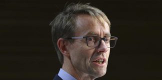 Number of new cases of Covid-19 in NZ plummets to 29