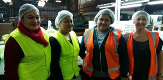RSE workers in New Zealand must have chance to move among employers as lockdown continues and lessons from overseas must be learned, say Australian labour researchers