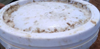 Vava‘u Town Officer claims authorities flouting food safety laws as heated dispute erupts over dirty buckets of salt beef
