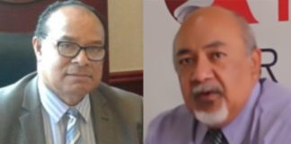 Real Tonga CEO says any profits made by Lulutai are based on 20 years of work and investment by his company in aviation industry