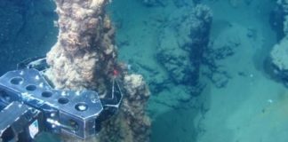 Pacific call for global ban on deep sea mining