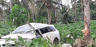 Father killed in ‘Utulau single-car crash