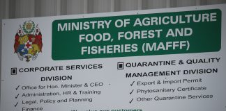 Public concern: Tonga Police warn against risky sea cucumber harvesting after three deaths