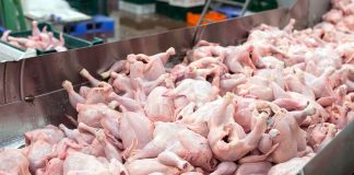 China says frozen chicken wings from Brazil test positive for virus