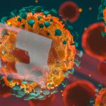 coronavirus_micro_shutterstock