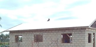 Democrats around the world must stand up and put late PM Pōhiva’s principles into practice