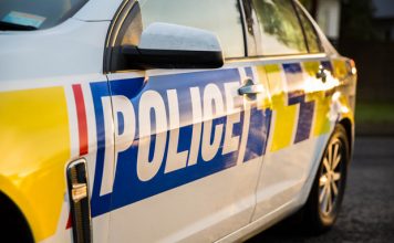 Auckland Tongan appeals for help after van stolen from home