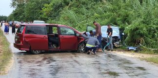 Driver arrested after 76yo woman killed in Tongatapu crash
