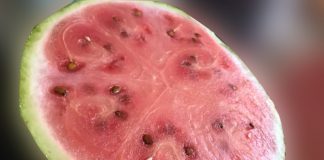 New Zealand suspends Tonga watermelon imports after fruit fly larvae found
