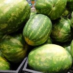 Watermelon photo by RNZ