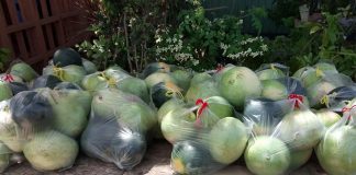 New Zealand gives ‘temporary approval’ for import of Tonga watermelons, source says