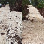 Taanea roads