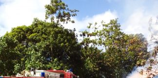Neiafu home uninhabitable after fire rips through property