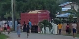 Truck crashes through fence at Tongatapu property