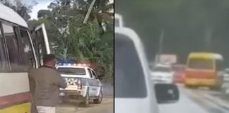 Footage shows police pull over bus driver caught driving wrong way on road