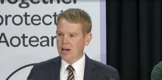 Covid 19 coronavirus: Two million Kiwis to be vaccinated in 4 months – rollout plan unveiled