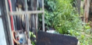 Repeated complaints against Vava‘u restaurant’s sanitation conditions met with inaction, Town Officer claims