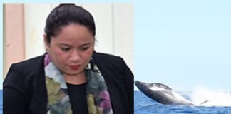 Whale watching row shows how ‘out of touch’ Minister Lavulavu is, Critics say