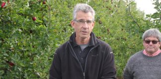 Industries desperate for workers urge government to open borders to Pacific