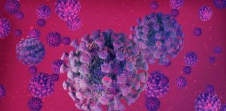 Just one Delta Covid-19 case could prompt lockdown – expert