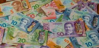 Tongan group complains after $50,000 Christmas savings allegedly disappeared with treasurer in Auckland