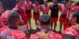 Former All Blacks, Wallaby in line to play for Tonga