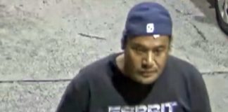 Police seeking three people over Auckland man’s death from moving vehicle