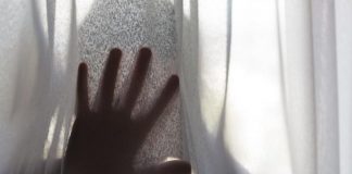 Spotlight on abuse of Pacific people: ‘There are added layers of complexity’