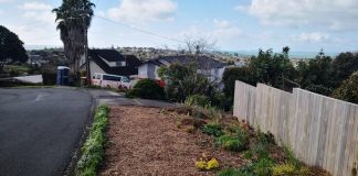 Auckland Transport orders roadside berm plantings to be removed