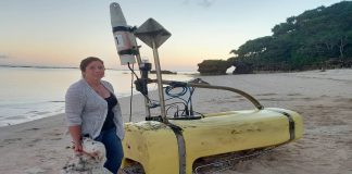 Truth behind strange object found on Tonga beach
