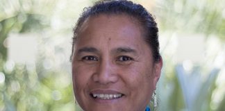 Inquiry into why Pasifika are paid 23 percent less than Pākehā