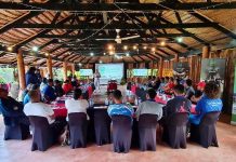 NRL virtual training programs focus on Pacific